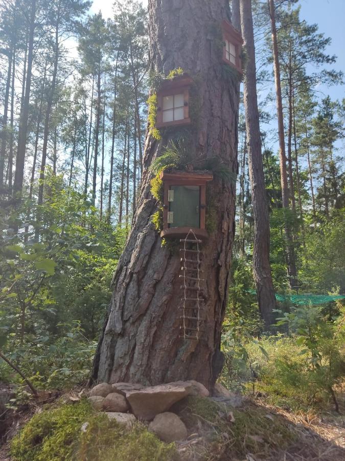 Domki Przy Lipowej 14 Luka Екстериор снимка